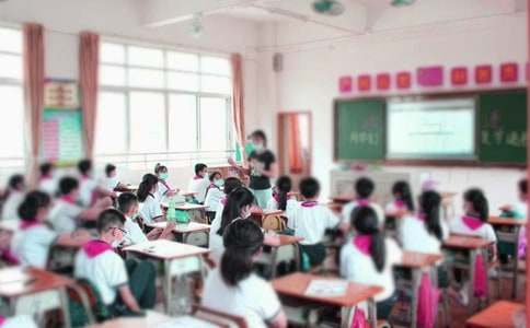 《山谷中的谜底》教学反思