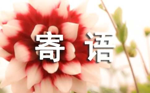送给天堂的亲人寄语240句