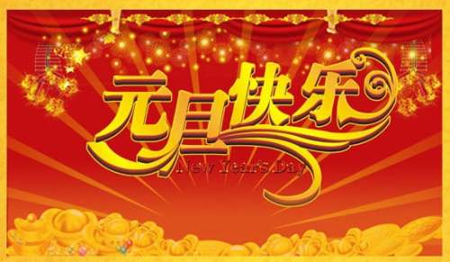 实用的欢庆元旦作文