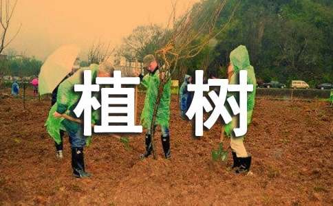 植树卡片寄语