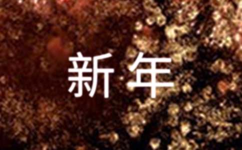 描写新年的作文